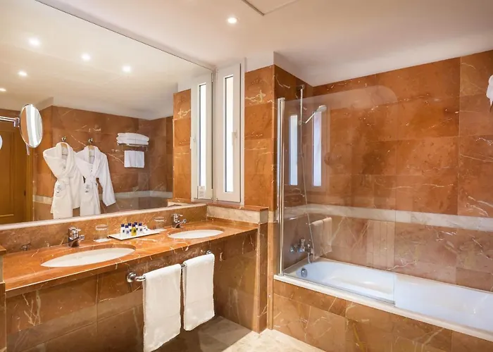 酒店 Guadalmina 4*